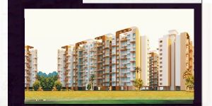 Real Estate Developer