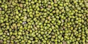 Mung Beans
