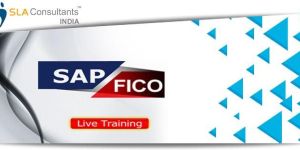 Best SAP FICO Training Institute In Noida- SLA Consultants Noida
