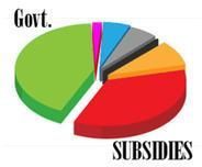 Subsidy Consultation Service