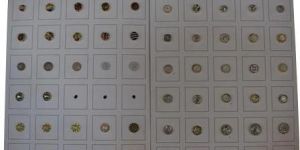 Designer Plastic Button