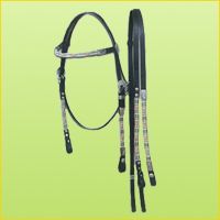 Horse Headstall