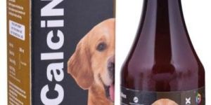 CalciNex Calcium Syrup