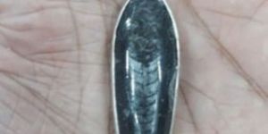 Orthoceras Silver Pendant
