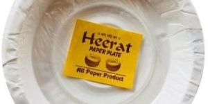 Disposable Paper Bowl