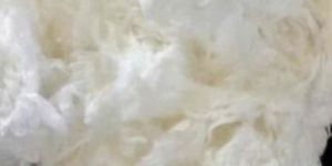 Viscose Staple Fibre