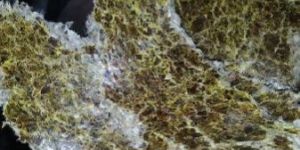 Cotton Seed Oil Cake