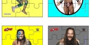 Goalzy WWE Jigsaw Puzzle
