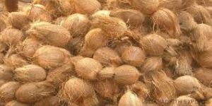 Indian Fresh Vegetables