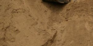 Rock Phosphate Powder