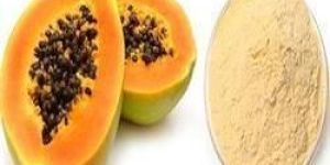 Papaya Extract Powder