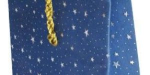 Printed Designer Gift Bags