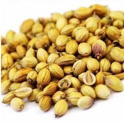 Coriander Seed