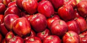 Fresh Red Delicious Apple