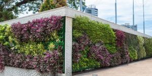 Vertical Green Wall