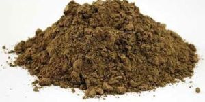 Black Cohosh Extract