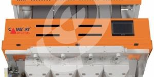 Multicolor Coriander Seed Sorting Machines