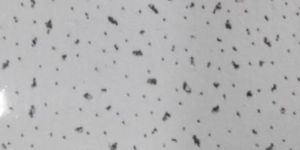 Gypsum Ceiling Tiles
