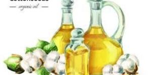 Cottonseed Oil
