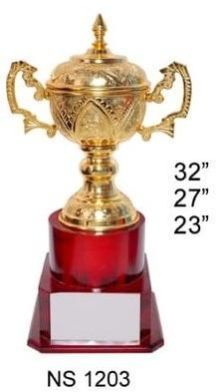 Sports Trophy