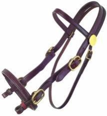 Horse Headstall