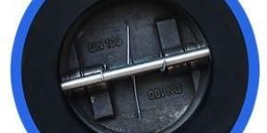 Full Rubber Dual Plate Check Valve