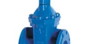 Sluice Valve with Cap