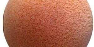 Cleaning Sponge Balls