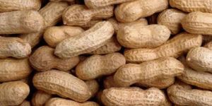 Whole Groundnut