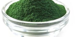 Spirulina Powder