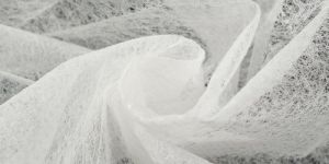 PP Spunbonded Agriculture Non- Woven Fabric