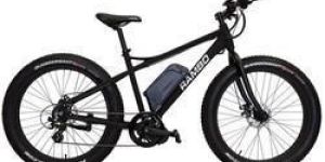 Electric Bicycle