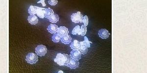 Flower Jembo Plastic Earring