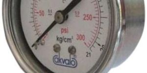 Stainless Steel Pressure Gauge
