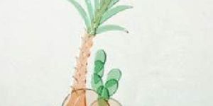 Customized Glass Products