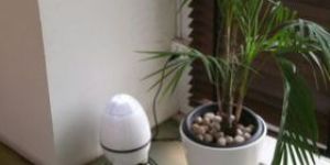 Automatic Perfume Dispenser