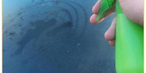 Windshield Washer Fluid