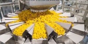 Multi Head Weigh Filler