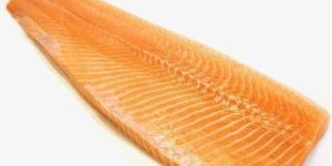 Salmon Fillet