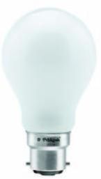 Glass Incandescent Lamp