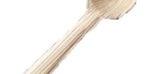 Areca Leaf Fancy Spoon,