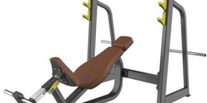 Olympic Incline Bench