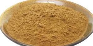 Herbal Dashmool Extract