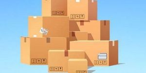 PET Film Laminated Kraft