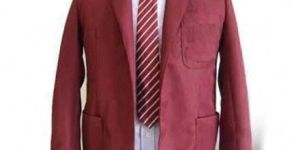 Institute Blazer Fabric