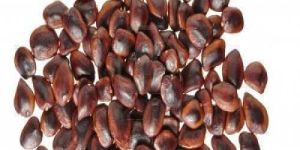 Organic Tamarind Seeds