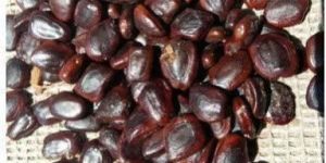 Whole Tamarind Seeds