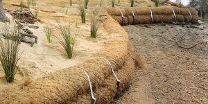 Coir Logs