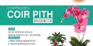 Coir Pith Briquettes