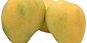 Fresh Rajapuri Mango